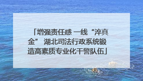 增强责任感 一线“淬真金” 湖北司法行政系统锻造高素质专业化干警队伍