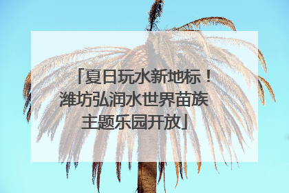 夏日玩水新地标！潍坊弘润水世界苗族主题乐园开放