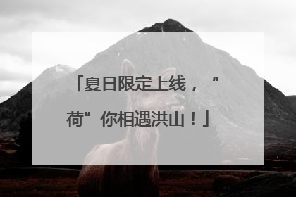 夏日限定上线，“荷”你相遇洪山！