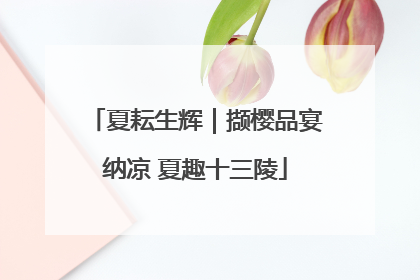 夏耘生辉｜撷樱品宴纳凉 夏趣十三陵