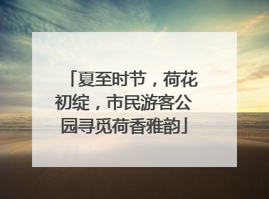 夏至时节，荷花初绽，市民游客公园寻觅荷香雅韵