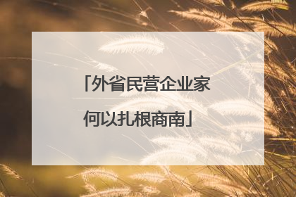 外省民营企业家何以扎根商南