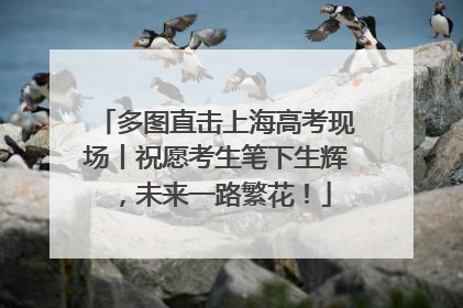 多图直击上海高考现场丨祝愿考生笔下生辉，未来一路繁花！
