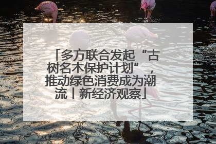 多方联合发起“古树名木保护计划”，推动绿色消费成为潮流丨新经济观察