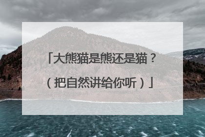 大熊猫是熊还是猫？（把自然讲给你听）