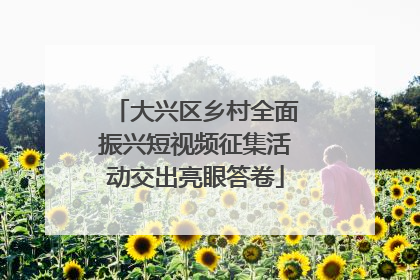 大兴区乡村全面振兴短视频征集活动交出亮眼答卷