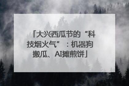 大兴西瓜节的“科技烟火气”：机器狗搬瓜、AI摊煎饼