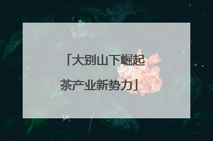 大别山下崛起茶产业新势力