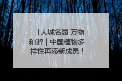 大城名园 万物和谐｜中国植物多样性再添新成员！它只在西藏墨脱