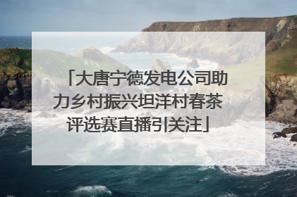 大唐宁德发电公司助力乡村振兴坦洋村春茶评选赛直播引关注