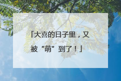 大喜的日子里，又被“萌”到了！