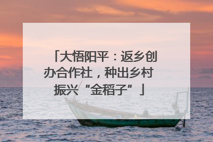 大悟阳平：返乡创办合作社，种出乡村振兴“金稻子”