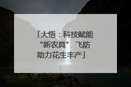 大悟：科技赋能“新农具” 飞防助力花生丰产