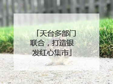 天台多部门联合，打造银发红心集市