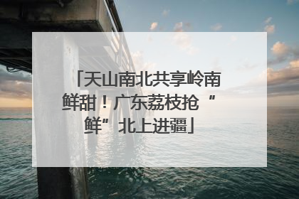 天山南北共享岭南鲜甜！广东荔枝抢“鲜”北上进疆