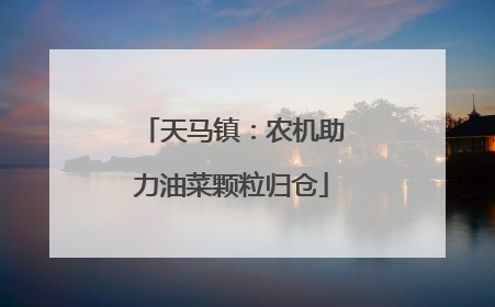 天马镇：农机助力油菜颗粒归仓