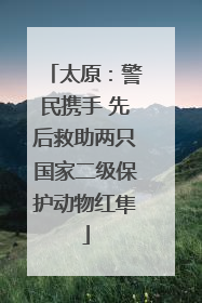 太原：警民携手 先后救助两只国家二级保护动物红隼