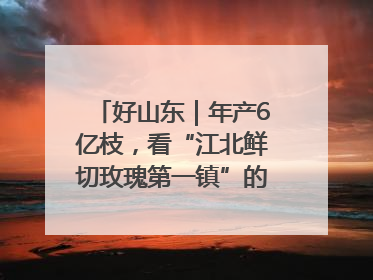 好山东｜年产6亿枝，看“江北鲜切玫瑰第一镇”的“美丽经济”