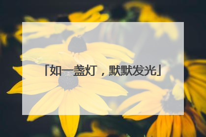 如一盏灯，默默发光