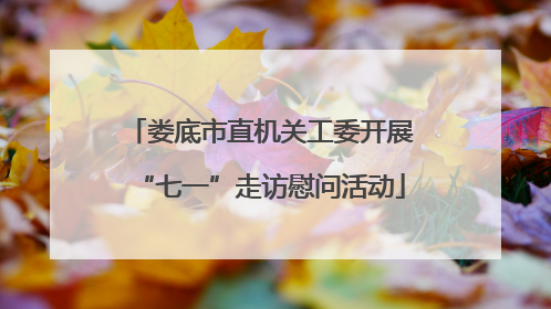 娄底市直机关工委开展“七一”走访慰问活动