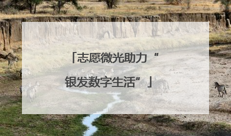 志愿微光助力“银发数字生活”