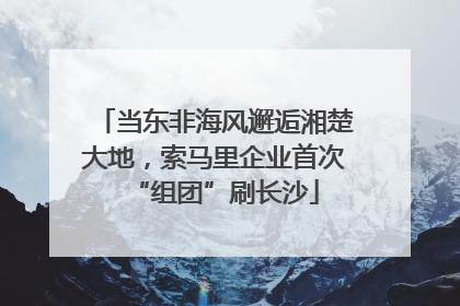 当东非海风邂逅湘楚大地，索马里企业首次“组团”刷长沙