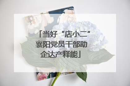 当好“店小二” 襄阳党员干部助企达产释能