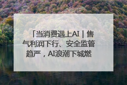 当消费遇上AI｜售气利润下行、安全监管趋严，AI浪潮下城燃企业如何破局