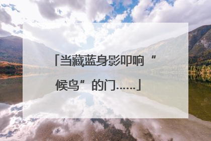 当藏蓝身影叩响“候鸟”的门……