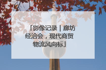 影像记录｜廊坊经洽会，现代商贸物流风向标