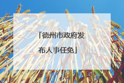 德州市政府发布人事任免