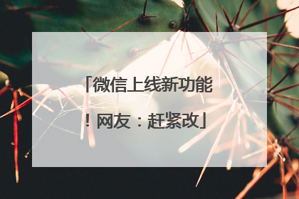 微信上线新功能！网友：赶紧改