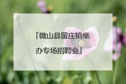 微山县留庄镇举办专场招聘会