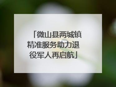 微山县两城镇精准服务助力退役军人再启航