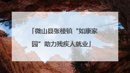 微山县张楼镇“如康家园”助力残疾人就业