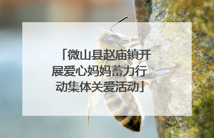 微山县赵庙镇开展爱心妈妈蓄力行动集体关爱活动