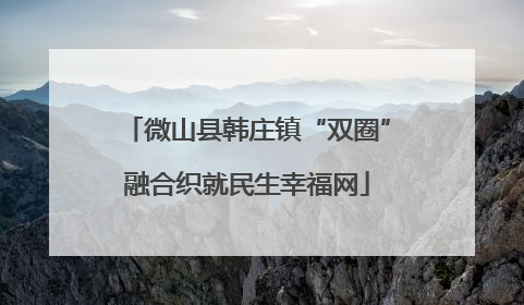 微山县韩庄镇“双圈”融合织就民生幸福网