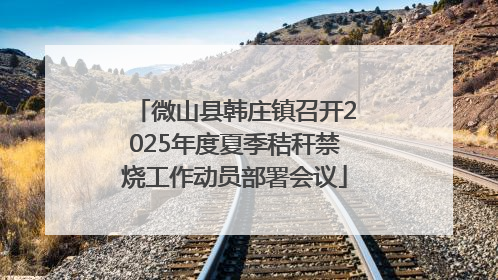 微山县韩庄镇召开2025年度夏季秸秆禁烧工作动员部署会议