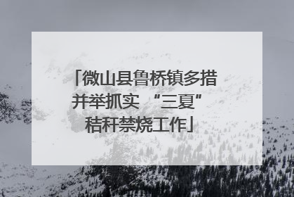 微山县鲁桥镇多措并举抓实 “三夏” 秸秆禁烧工作