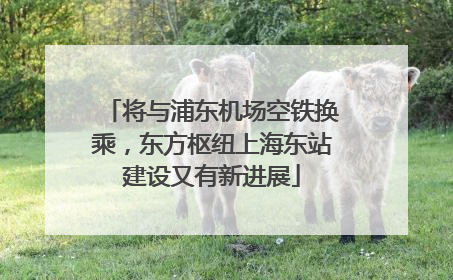 将与浦东机场空铁换乘，东方枢纽上海东站建设又有新进展