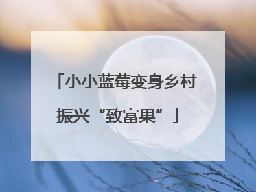 小小蓝莓变身乡村振兴“致富果”