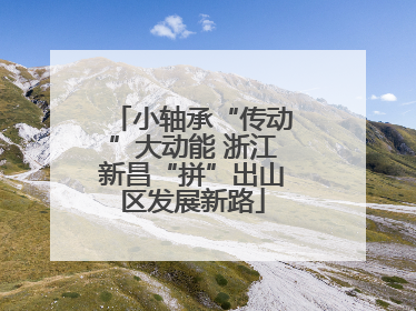 小轴承“传动”大动能 浙江新昌“拼”出山区发展新路