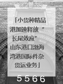 小货种精品港加速释放“长尾效应” 山东港口渤海湾港国际件杂货运业务