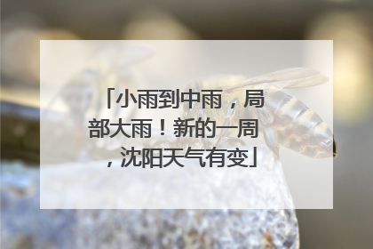 小雨到中雨，局部大雨！新的一周，沈阳天气有变