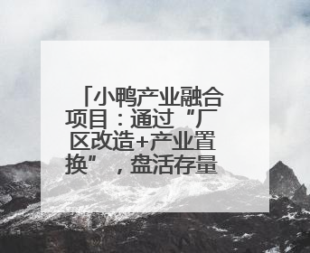 小鸭产业融合项目：通过“厂区改造+产业置换”，盘活存量，增值增效
