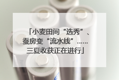 小麦田间“选秀”、蚕房变“流水线”……三夏收获正在进行