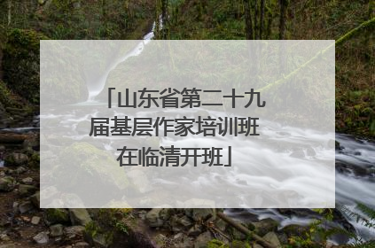 山东省第二十九届基层作家培训班在临清开班