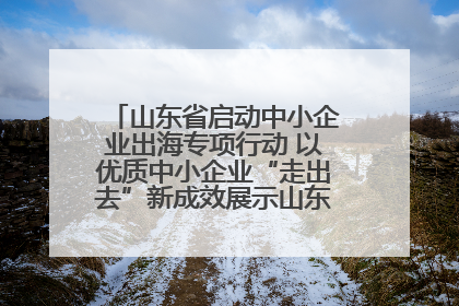 山东省启动中小企业出海专项行动 以优质中小企业“走出去”新成效展示山东产业发展新形象