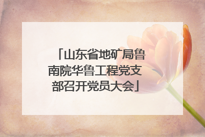 山东省地矿局鲁南院华鲁工程党支部召开党员大会