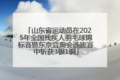 山东省运动员在2025年全国残疾人羽毛球锦标赛暨东京聋奥会选拔赛中斩获3银1铜